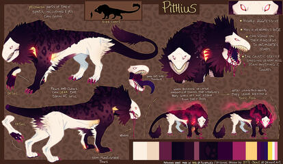 Feral ref sheet Feral ref sheet
